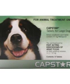 Capstar 57mg Large 6 - Green