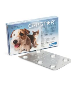 Capstar - Flea Treatment For Cats & Dogs 0.5KG - 11kg