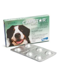 Capstar - Flea Treatment For Large Dogs 11,1kg or More