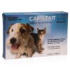 Capstar for Cats and Small Dogs between 0.5 and 11kg 6 Pack