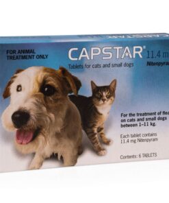 Capstar for Cats and Small Dogs between 0.5 and 11kg 6 Pack