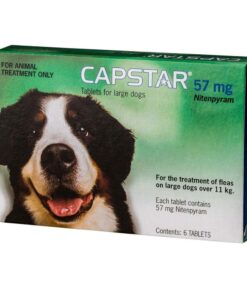 Capstar for Dogs Over 11kg 6 Pack