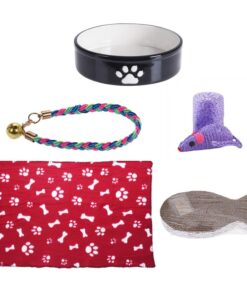 Cat Bowl, Cat Collar, Blanket, Cat Scratcher & Cat Toy