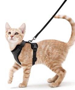 Cat Harness and Leash - Walking Escape Proof Vest for Medium Small Pet