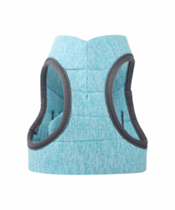 Cat Leash Pet Chest Harness Leash, Size: M(Sky Blue)