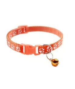 Cat Or Dog Collar 19-33cm - Orange