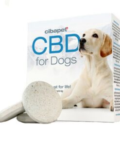 CBD Pastilles for Dogs with Vitamins by Cibdol