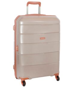 Cellini Spinn 65cm Check-in Spinner - Mink