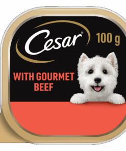 Cesar Adult Wet Dog Food with Beef 100g x 24