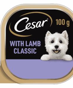 Cesar Adult Wet Dog Food with Lamb Classic 24 x 100g