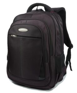 Charmza Vanquish Laptop Backpack - Purple