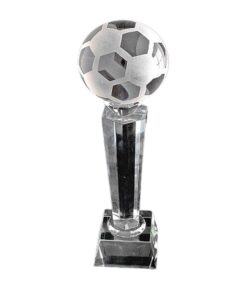 Clear Glass Sandblasted SoccerBall Trophy with Base