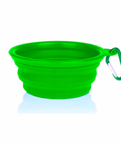 Collapsible Silicone Pet Bowl - Light Green