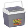 Cooler Box 8Lt - Grey, White