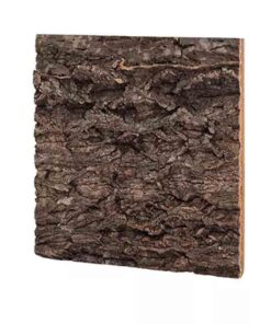 Cork Background All Natural Decorative For Terrariums and Plants - L