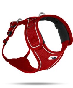 Curli Belka Harness