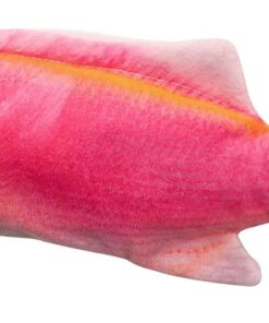 Dancing Fish Cat/Dog Toy