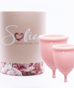 Dental Floss Picks - 50 Picks