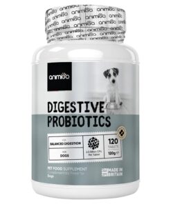 Digestive Probiotic Tablets For Dogs