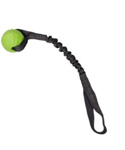 Dog Ball on a Rope Interactive EVA Ball for Fetch, Catch, Throw, Training - Green