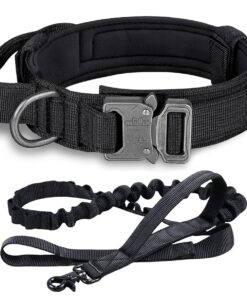 Dog Collar with Leash Set - Black - XL