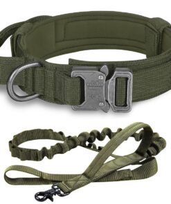 Dog Collar with Leash Set - Green - XL