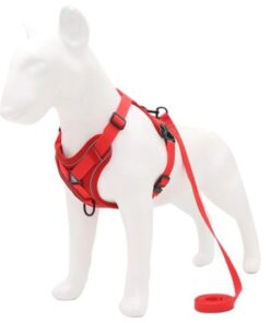 Dog Harness Cat Harness & Leash Adjustable Small Breed Red Gift Star - S