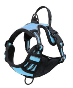 Dog Harness - L