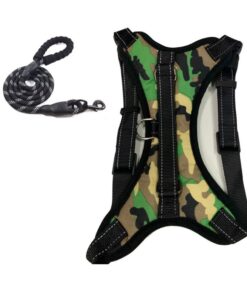 Dog Harness & Lead Camo S