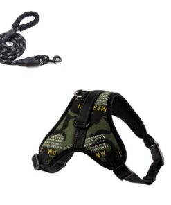 Dog Harness & Lead Green M