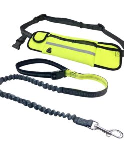 Dog Leash & Detachable Waist Bag