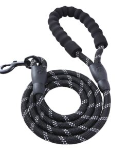 Dog Leash with Padded Handle - Black