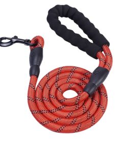Dog Leash with Padded Handle - Red