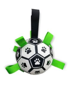 Dog Soccer Ball - Large