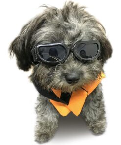 Dog Sunglasses Adjustable Pet Goggles UV Proof for Small Breed Dog - Black