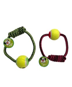 Dog Toy - Tennis Ball on a Rope (Twin Pack)