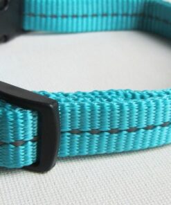 Dogs Life - Reflective Supersoft Webbing Collar - Turquoise - Extra-Large