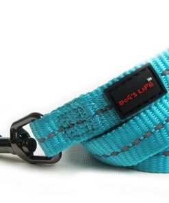 Dogs Life - Reflective Supersoft Webbing Leash - Turquoise - Large