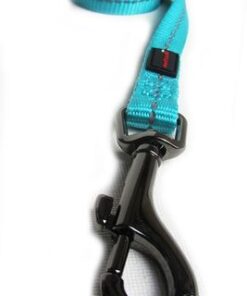 Dogs Life - Reflective Supersoft Webbing Leash - Turquoise - Small