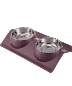 Double Dog Cat Bowls Stainless Steel Pet Bowls No-Spill Resin Station - Purple