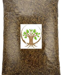 Dried Black Solider Fly Larvae by Silkworm Shop