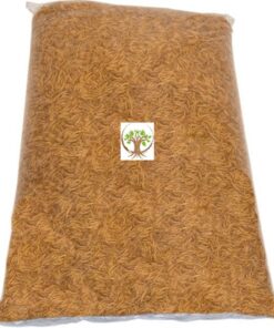 Dried Mealworms by Silkworm Shop