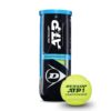 Dunlop ATP Championship Sea Level 3 Pet Tennis Balls