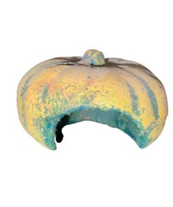 Durable, Natural Reptile Pumpkin Hide/Cave - L