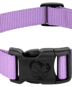 Durable Nylon Snap-N-Go Dog Collar - Lavender - S