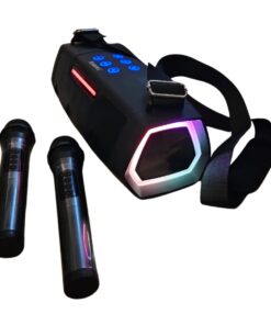 Dynamic High Quality Outdoor and indoor Speaker - Karaoke ready - Deep Bass