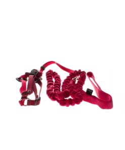 Easy Walk - Cat Harness And Cat Collar - Red
