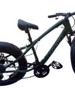 Echo ha 20 inch Fat Tire Bicycle - Camo Green