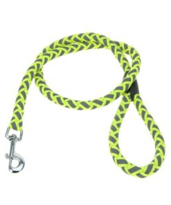Eco Dog Leash Neo - Green