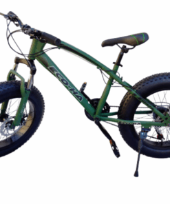 Eco Mountain Fat Tire Bicycle for Kids - Green, Black